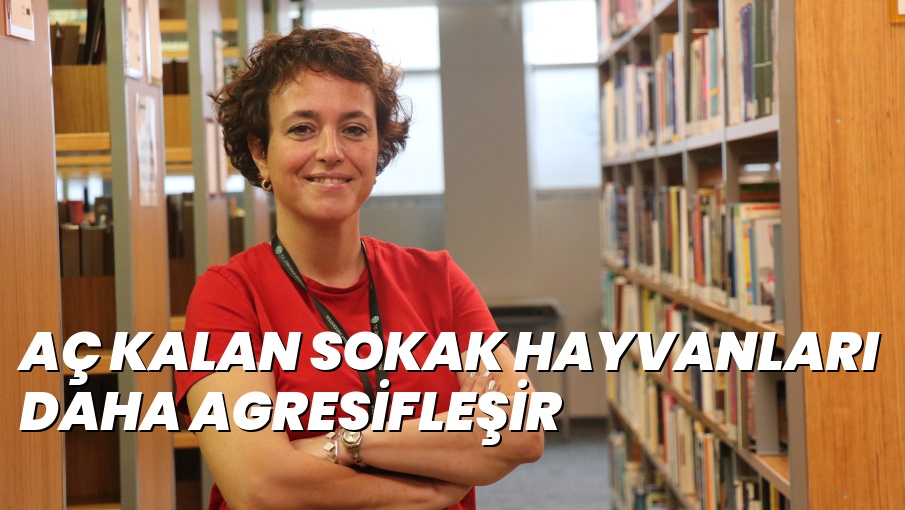 AÇ KALAN SOKAK HAYVANLARI DAHA AGRESİFLEŞİR