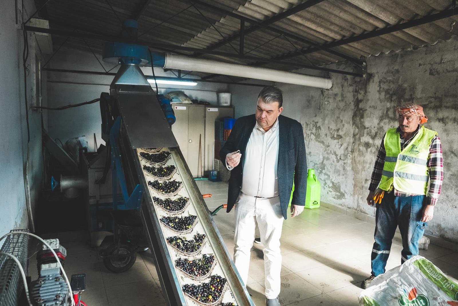 SEFERİHİSAR ZEYTİNYAĞI FABRİKASI ÜRETCİYE CAN OLUYOR