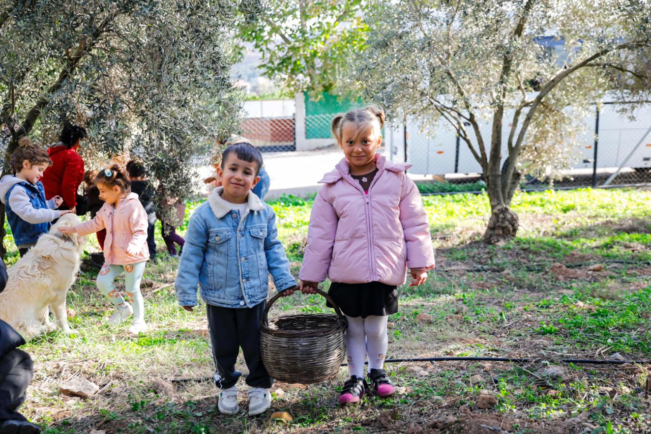 Seferihisar Belediyesi’nden örnek proje; Çocukların topladığı zeytinler sofralara bereket olacak Seferihisar Belediyesi’nden örnek proje; Çocukların topladığı zeytinler sofralara bereket olacak