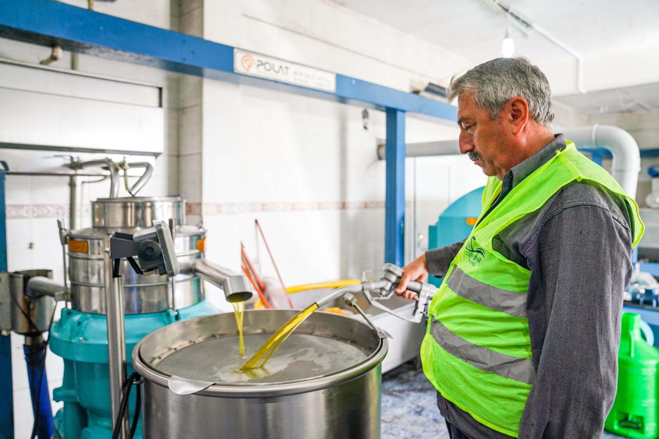 Seferihisar Belediyesi’nden örnek proje; Çocukların topladığı zeytinler sofralara bereket olacak Seferihisar Belediyesi’nden örnek proje; Çocukların topladığı zeytinler sofralara bereket olacak