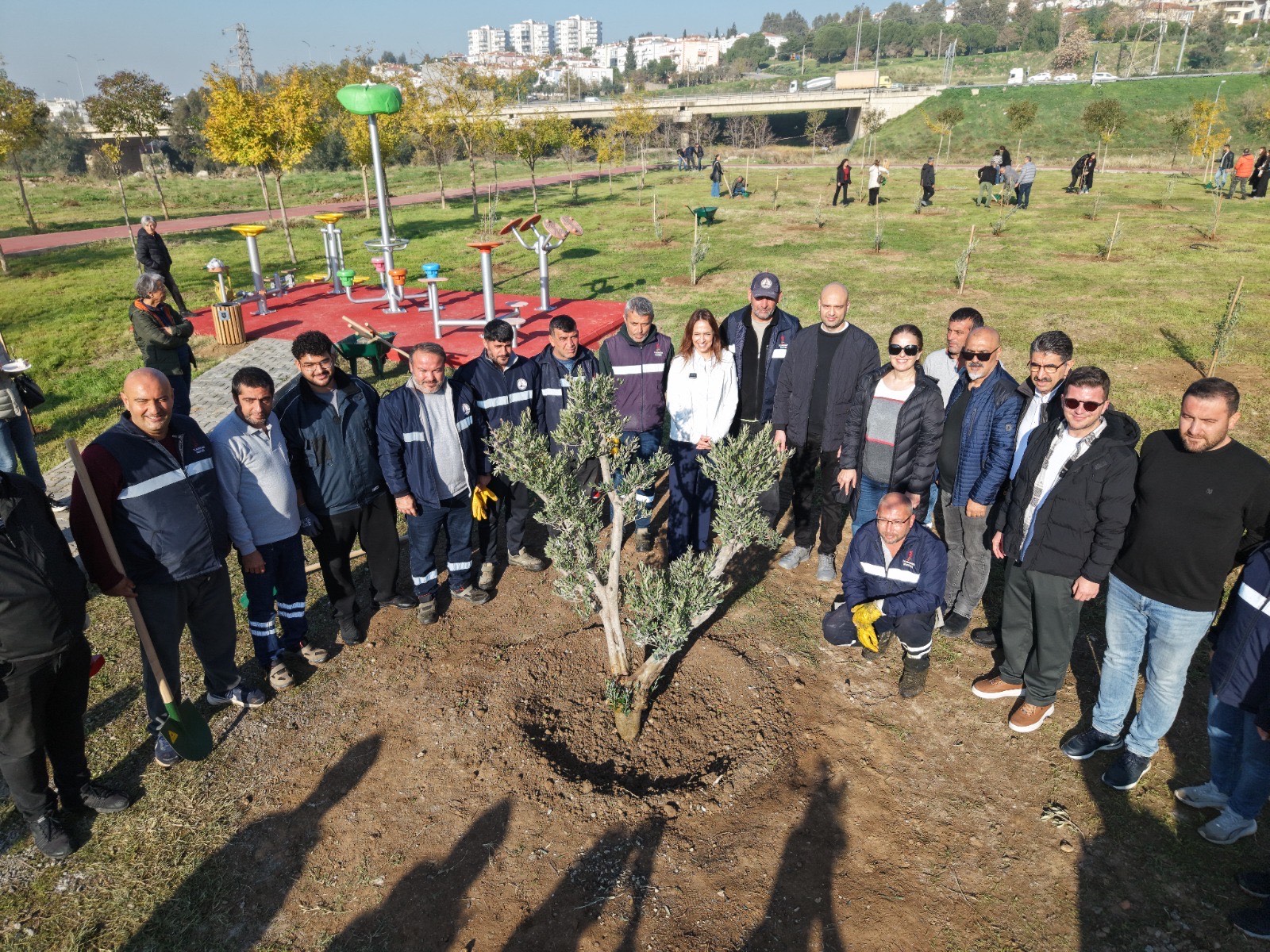Karşıyaka’da zeytin fidanları toprakla buluştu Karşıyaka’da zeytin fidanları toprakla buluştu