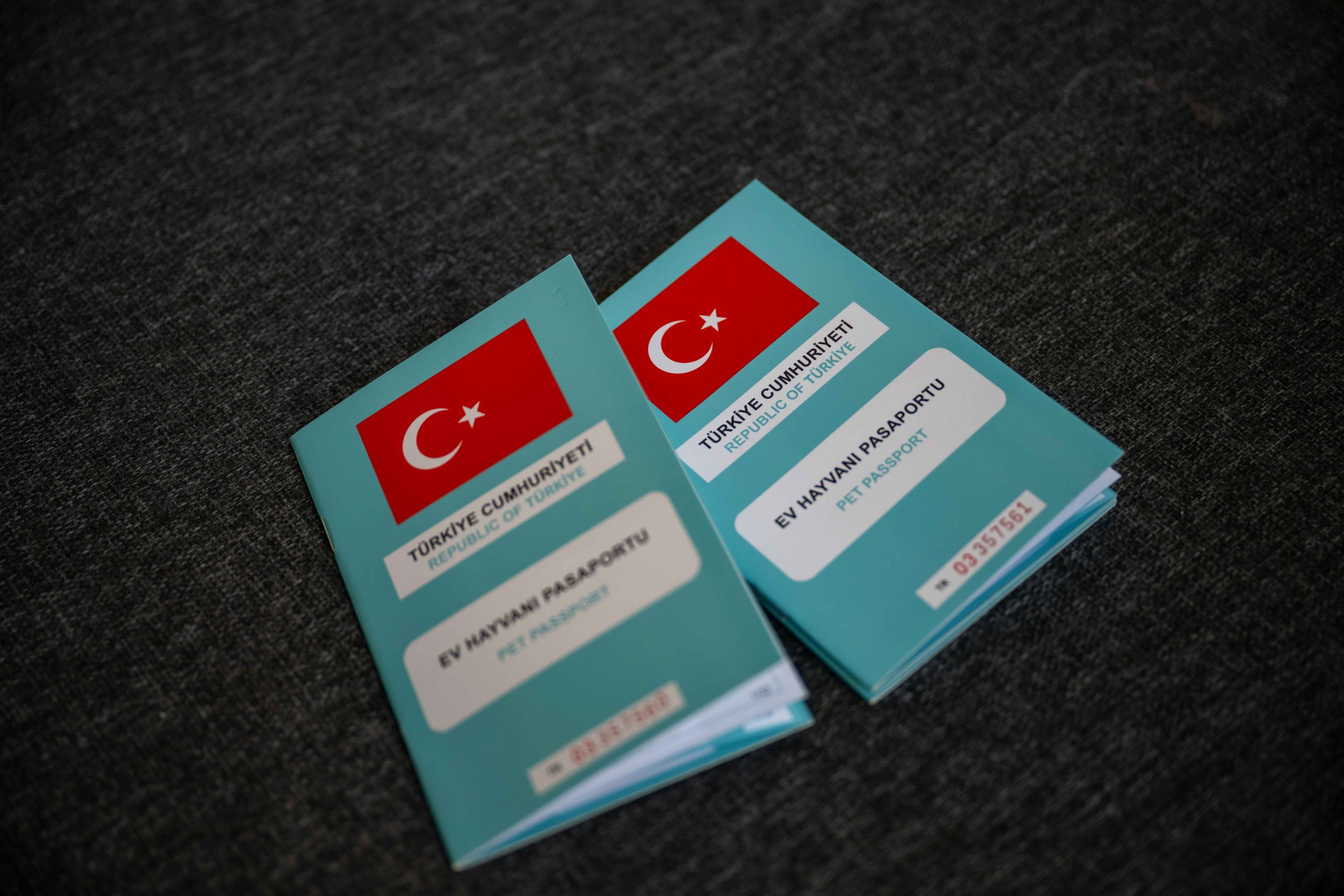 55 SOKAK CANI YENİ YUVASINA KAVUŞTU