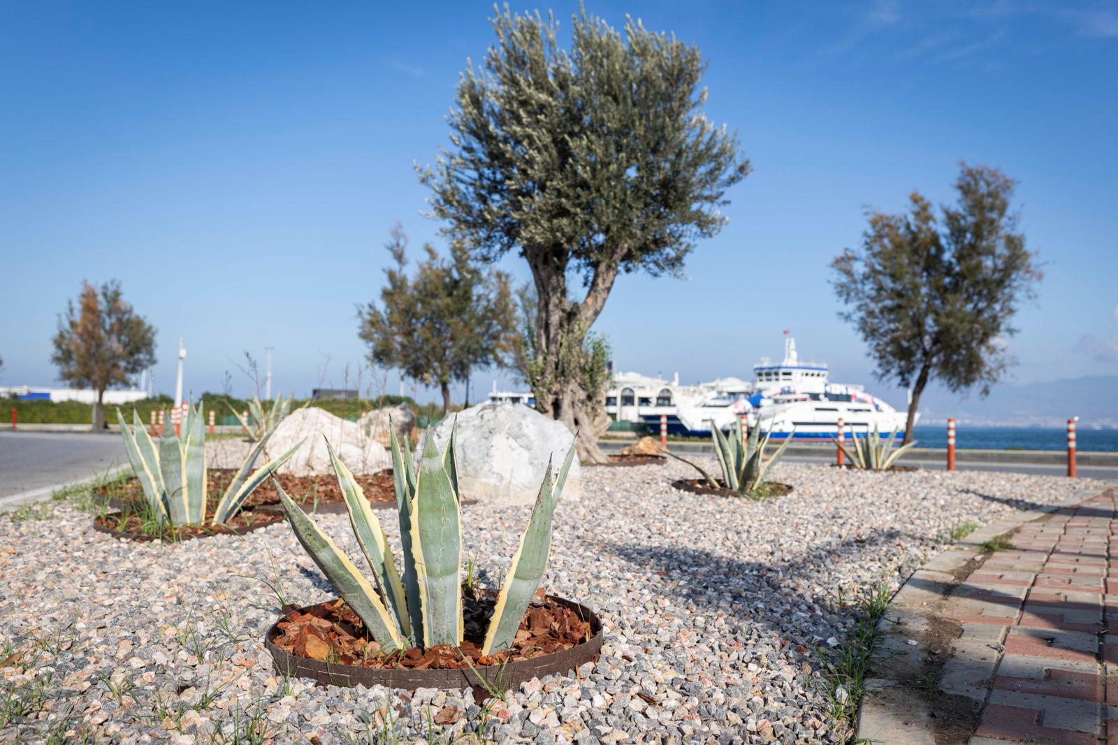 İZMİR’İN ÇEHRESİ SU TASARRUFLU BİTKİLERLE GÜZELLEŞİYOR